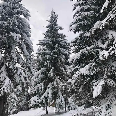 Mendrea * Konjska Reka